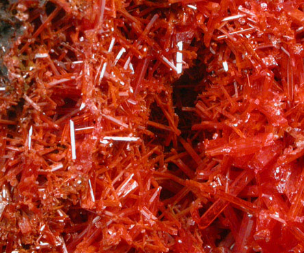 Crocoite from Dundas, Tasmania, Australia