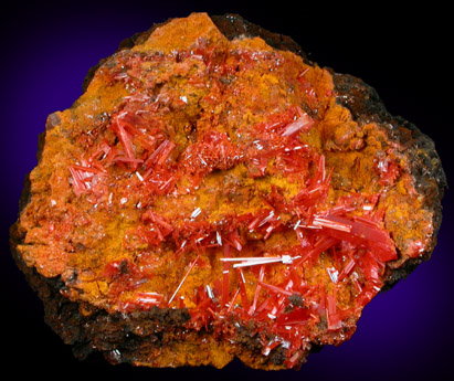 Crocoite on Bindheimite from Dundas, Tasmania, Australia