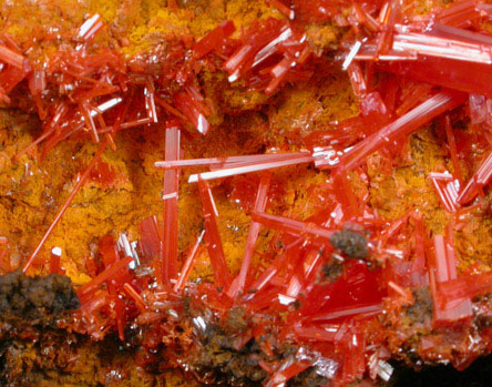 Crocoite on Bindheimite from Dundas, Tasmania, Australia