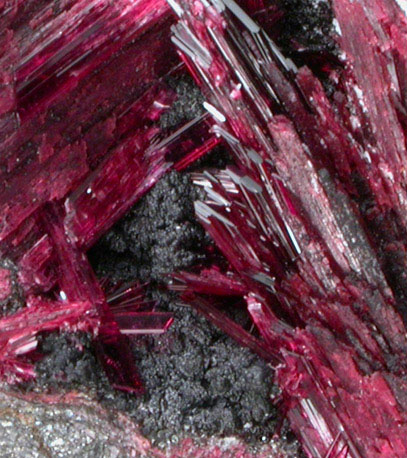 Erythrite with Heterogenite from Bou Azzer District, Anti-Atlas Mountains, Tazenakht, Ouarzazate, Morocco (Type Locality for Erythrite)