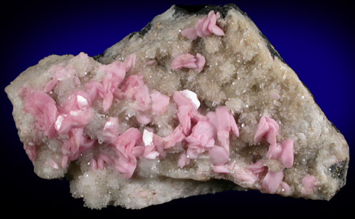 Rhodochrosite on Quartz from Silverton Mining District, San Juan County, Colorado