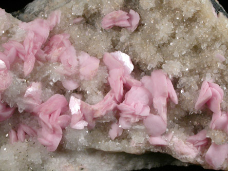 Rhodochrosite on Quartz from Silverton Mining District, San Juan County, Colorado