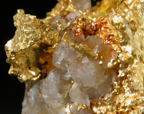 Gold with Quartz from Eugene Mountains, Humboldt County, Nevada