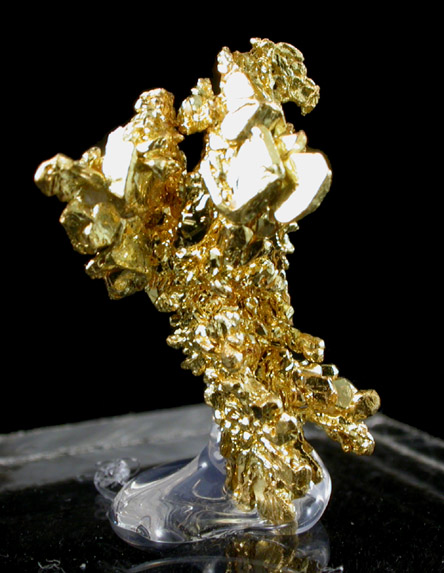 Gold from Eagle's Nest Mine, Michigan Bluff District, Placer County, California