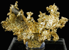 Gold from Eagle's Nest Mine, Michigan Bluff District, Placer County, California