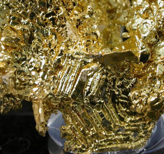 Gold from Eagle's Nest Mine, Michigan Bluff District, Placer County, California