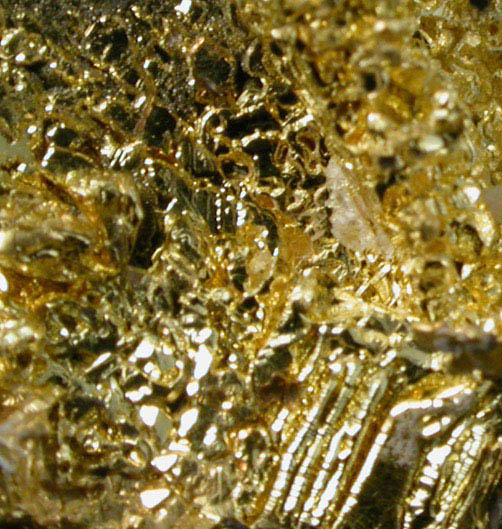 Gold from Eagle's Nest Mine, Michigan Bluff District, Placer County, California