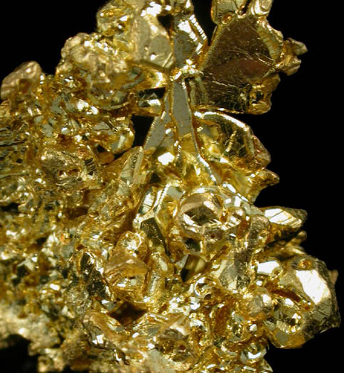 Gold from Mystery Wind Mine (Eagle's Nest Mine), Michigan Bluff District, Placer County, California