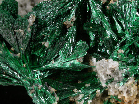 Malachite from L'Etoile du Congo Mine, Lubumbashi, Katanga Copperbelt, Haut-Katanga Province, Democratic Republic of the Congo