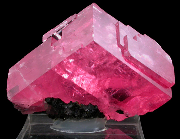 Rhodochrosite from Sweet Home Mine, Buckskin Gulch, Alma District, Park County, Colorado