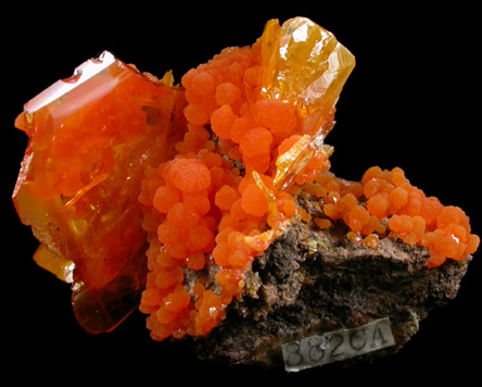 Wulfenite with Mimetite from San Francisco Mine, Cerro Prieto, north of Cucurpe, Sonora, Mexico