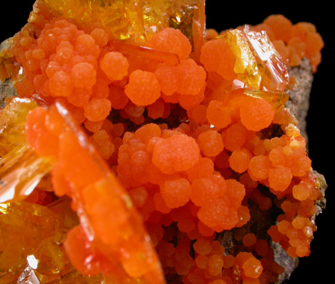 Wulfenite with Mimetite from San Francisco Mine, Cerro Prieto, north of Cucurpe, Sonora, Mexico