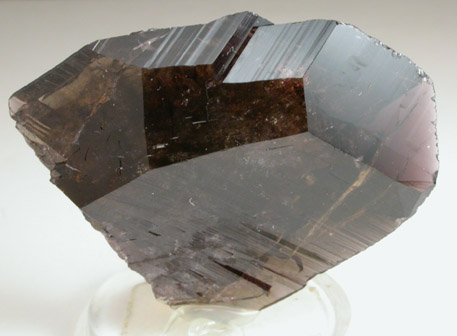 Axinite-(Fe) from Puiva Deposit, Tyumenskaya Oblast', Sub-Polar Ural Mountains, Russia