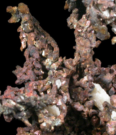 Copper from Ray Mine, Mineral Creek District, Pinal County, Arizona