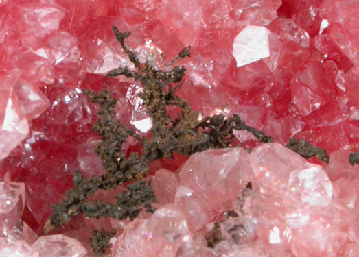 Copper on Calcite with Cuprite var. Chalcotrichite inclusions from Bisbee, Warren District, Cochise County, Arizona