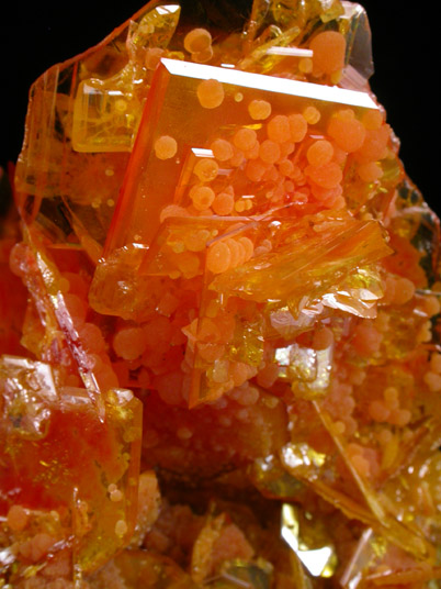 Wulfenite with Mimetite from San Francisco Mine, Cerro Prieto, north of Cucurpe, Sonora, Mexico