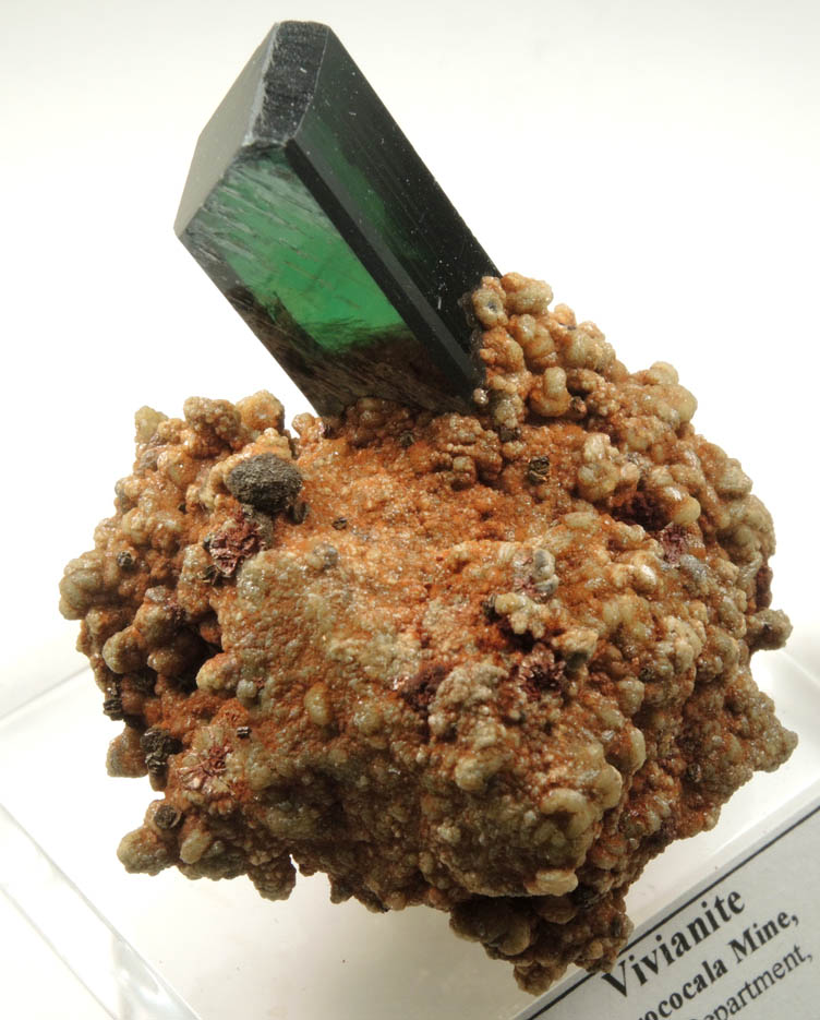 Vivianite from Morococala Mine, Oruro Department, Bolivia