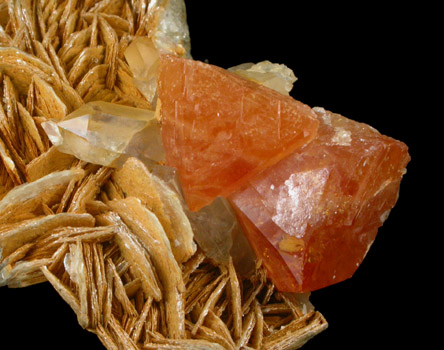 Scheelite on Muscovite from Xuebaoding Mountain near Pingwu, Sichuan Province, China