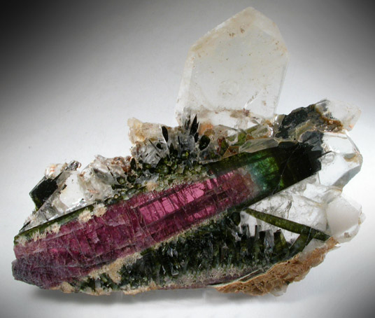 Elbaite Tourmaline in Quartz from Madagascar