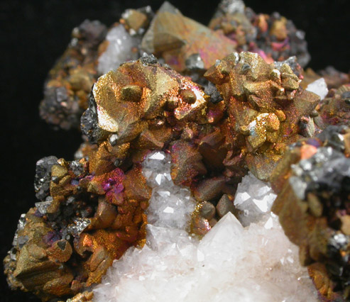 Tetrahedrite with Chalcopyrite coating on Quartz from Herodsfoot Mine, Liskeard, Cornwall, England