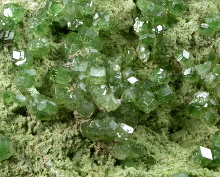 Grossular Garnet (chrome-rich) from Jeffrey Mine, Asbestos, Qubec, Canada