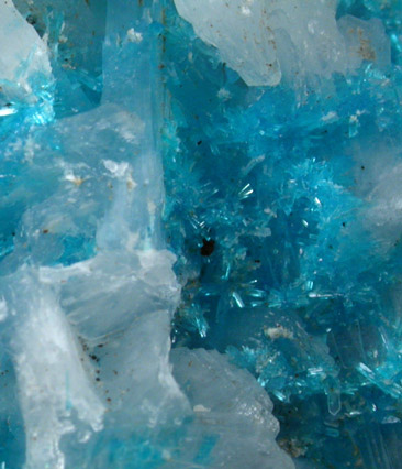 Cavansite on Stilbite-Ca from Wagholi Quarry, Maharashtra, India