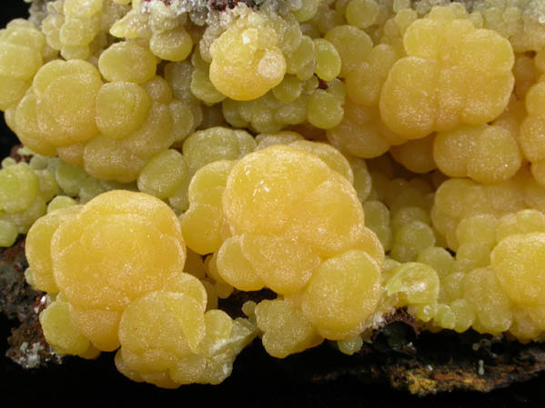 Mimetite from San Pedro Corralitos, Chihuahua, Mexico