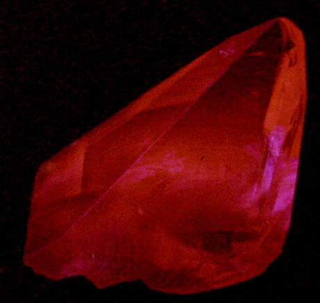 Calcite with Hedenbergite inclusions from Nikolaevskiy Mine, Dalnegorsk, Primorskiy Kray, Russia