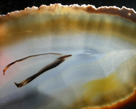 Quartz var. Agate from Rio Grande do Sul, Brazil