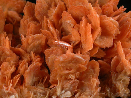 Barite from Jbel Irhoud (Irhoud Mine), north of Commune Ighoud, 85 km northwest of Marrakesh, Youssoufia Province, Morocco