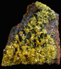 Mimetite on Cesarolite from Guatomo Mine, near Tham Thalu, south of Hat Yai, Yala Province, Thailand