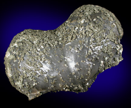 Pyrite (fossilized brachiopod) from Sylvania, Lucas County, Ohio