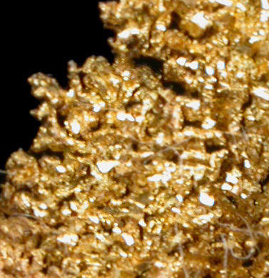 Gold from Ten Mile District, Humboldt County, Nevada