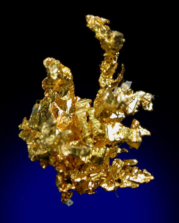 Gold from Diltz Mine, Bear Valley, Whitlock District, Mariposa County, California