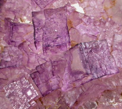 Fluorite on Barite from Caldwell Stone Quarry, Danville, Boyle County, Kentucky