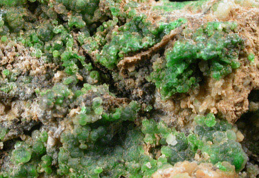 Conichalcite from (Tintic District), Juab County, Utah