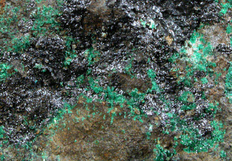 Paratacamite and Cassiterite from Wheal Hazard, Botallack Mine, St Just District, Cornwall, England