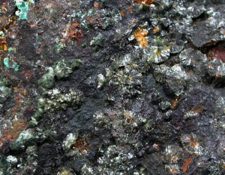 Dufrenite from Wheal Phoenix, Linkinhorne, Cornwall, England