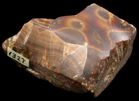 Barite var. Oakstone from Derbyshire, England