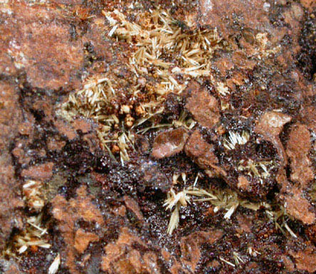 Strunzite from Gravel Hills Mine, Ligger Bay, Cornwall, England