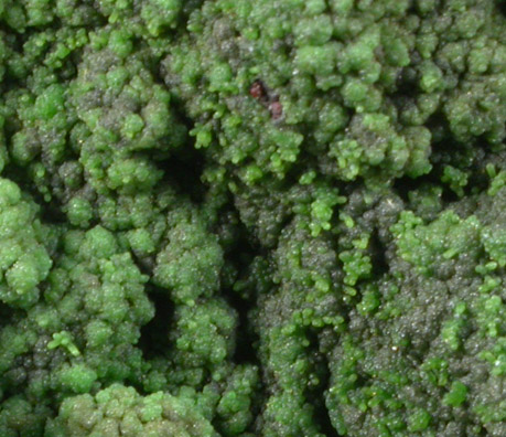 Malachite from Tsumeb Mine, Otavi-Bergland District, Oshikoto, Namibia