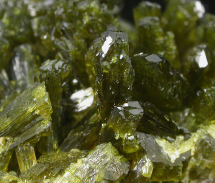 Epidote from Hickelwirtschaft, Sobotn (Zptau), Moravia, Czech Republic