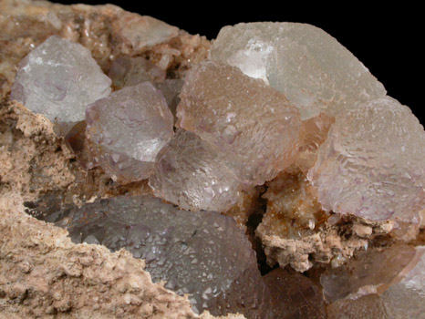 Fluorite from Desert Rose Mine, Hansonburg District, 8.5 km south of Bingham, Socorro County, New Mexico