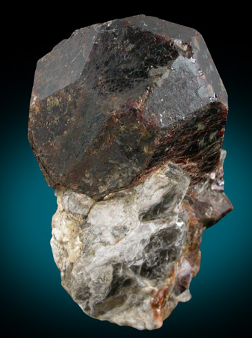 Almandine Garnet with Muscovite from Square Pit, Topsham, Sagadahoc County, Maine