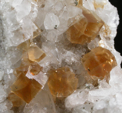 Fluorite on Calcite with Pyrite from Pint's Quarry, Raymond, Black Hawk County, Iowa