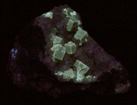 Fluorite on Calcite with Pyrite from Pint's Quarry, Raymond, Black Hawk County, Iowa