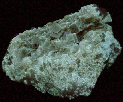 Fluorite from Pint's Quarry, Raymond, Black Hawk County, Iowa