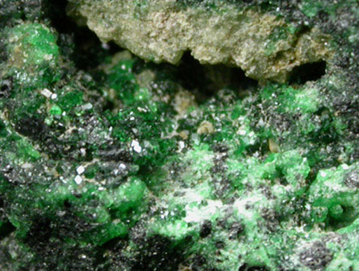Grossular Garnet (chrome-rich) from Orford Nickel Mine, 5.6 km southwest of Saint-Denis-de-Brompton, Québec, Canada