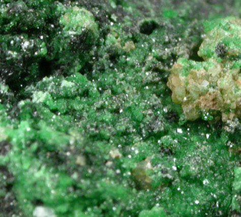 Grossular Garnet (chrome-rich) from Orford Nickel Mine, 5.6 km southwest of Saint-Denis-de-Brompton, Québec, Canada