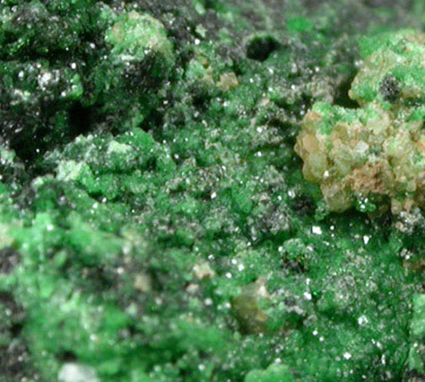 Grossular Garnet (chrome-rich) from Orford Nickel Mine, 5.6 km southwest of Saint-Denis-de-Brompton, Qubec, Canada